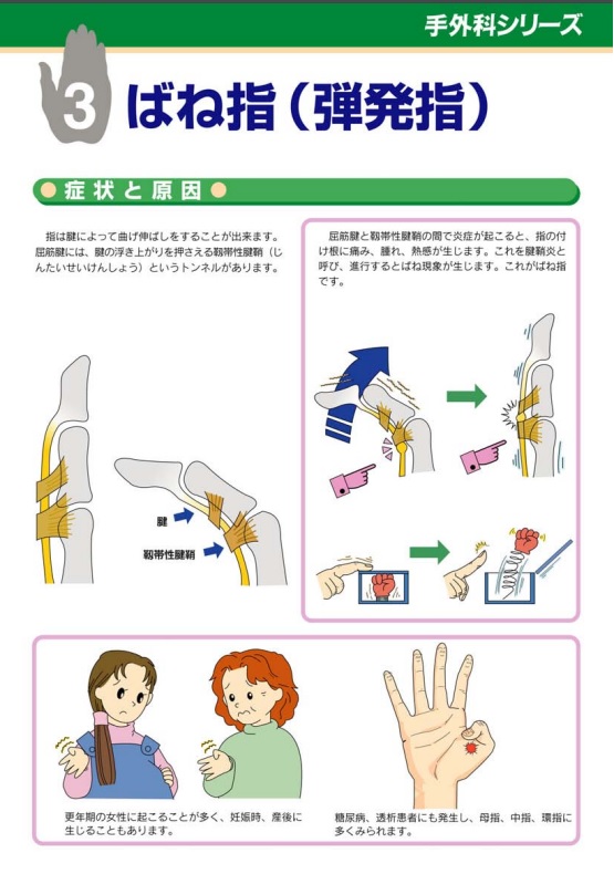 ブログ :: たわらまち整形外科・内科クリニック - 福井市田原町の整形